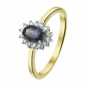14K bicolor goud geel/wit