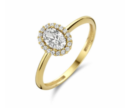 14K geelgoud
