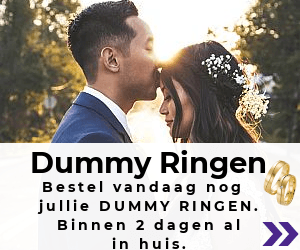 dummie ringen trouwringen