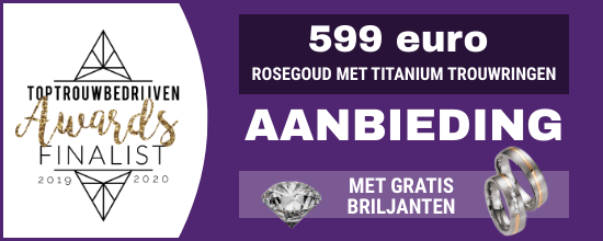 rosegoud met titanium ringen