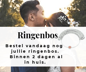 ringenbos trouwringen