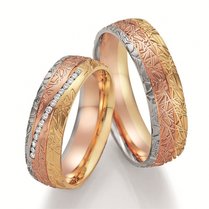 Tricolor Ringen Tricolor Ringen