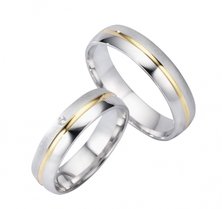 Goud  met Zilveren Ringen