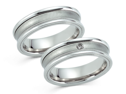 Vriendschapsringen Staal