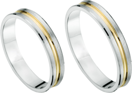 Goud en zilver ringen