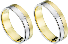 Vriendschapsringen goud met zilver