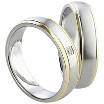 Stalen Ringen Bicolor