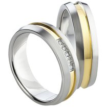 Stalen Ringen Bicolor