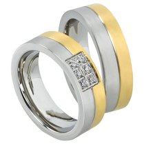 Stalen Ringen Bicolor