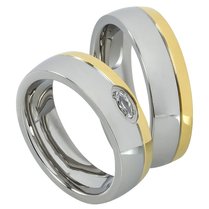 Stalen Ringen Bicolor