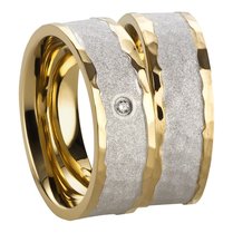 Stalen Ringen Bicolor