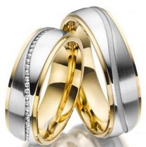 Stalen Ringen Bicolor