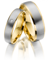 Stalen Ringen Bicolor