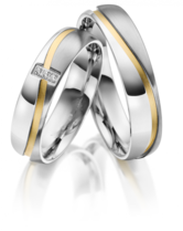 Stalen Ringen Bicolor