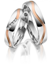 Stalen Ringen Bicolor 