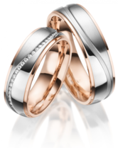 Stalen Ringen Bicolor