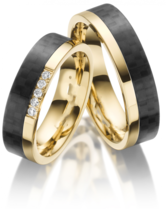 Stalen Ringen Bicolor 