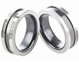 Stalen Ringen Bicolor