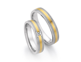 Goud met Stalen Ringen