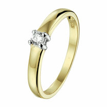 ring zirkonia