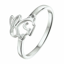 ring konijn