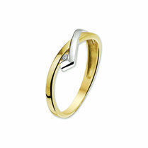 ring zirkonia