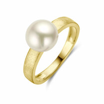 ring parel gescratcht