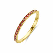 ring met geboortesteen granaat januari