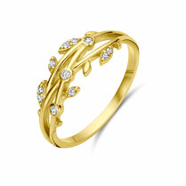 ring zirkonia