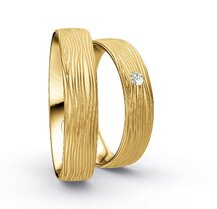 Klassieke Ringen Geelgoud Nadelmatt Klassieke Ringen Geelgoud Nadelmatt