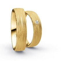 Klassieke Ringen Geelgoud Nadelmatt Klassieke Ringen Geelgoud Nadelmatt