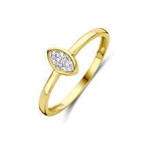 ring zirkonia