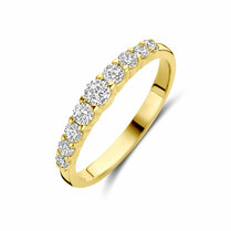 ring zirkonia