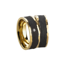 Stalen bicolor ringen