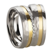 Stalen Ringen Bicolor