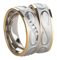 Stalen Ringen Bicolor