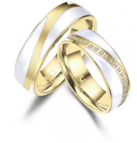 Stalen Ringen Bicolor