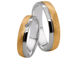 Stalen Ringen Bicolor