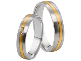 Stalen Ringen Bicolor