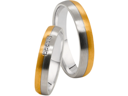 Stalen Ringen Bicolor