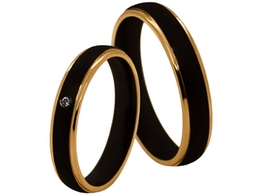 Stalen Ringen Bicolor