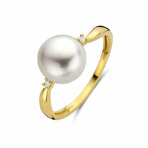 ring parel diamant 0.02ct h p