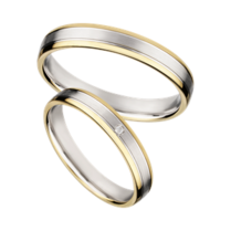 Bicolor zilveren ringen
