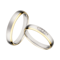 Bicolor zilveren ringen