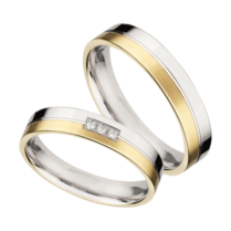 Bicolor zilveren ringen