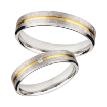 Bicolor zilveren ringen