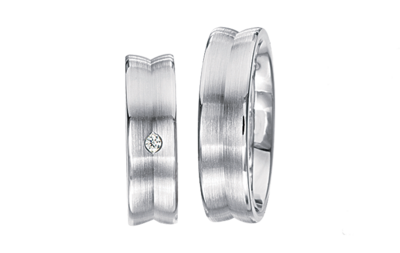 Zilveren Ringen