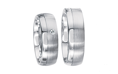 Zilveren Ringen