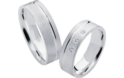 Zilveren Ringen