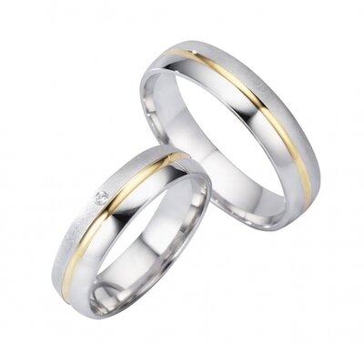 Goud  met Zilveren Ringen